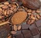 Cacao Powder’s Health Advantages that everyone need to know